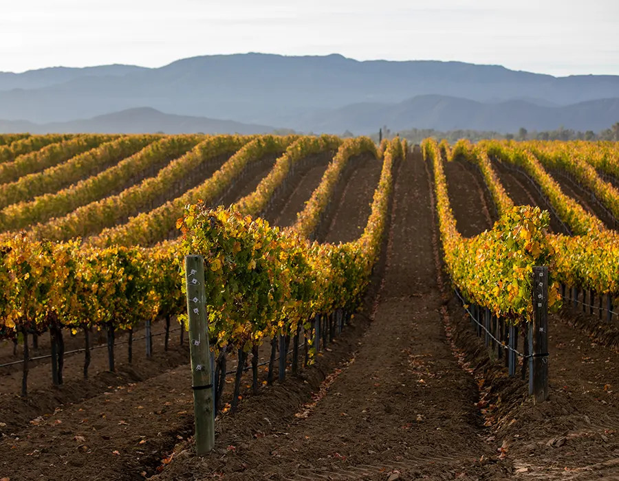 South Coast Winery Resort & Spa - PassPort to San Diego