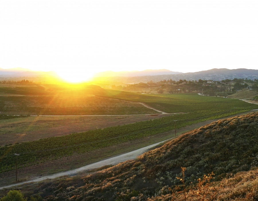 Bella Vista Winery Photo 3